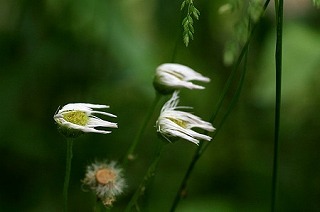2011.05.26@a@nWI@J̎d.jpg